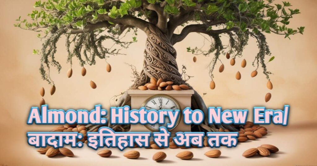 Almond:History