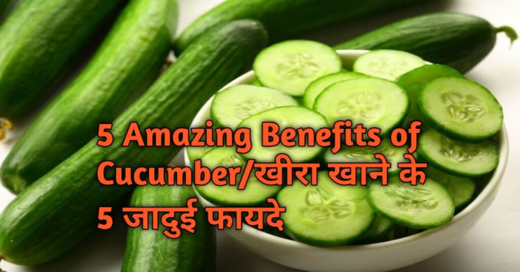 Cucumber-खीरा