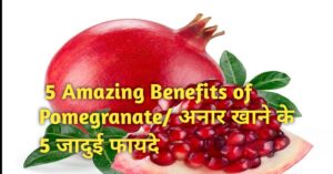 Pomegranate -अनार